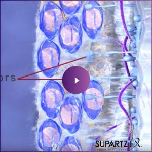 Schermafbeelding 2019-06-05 om 13.19.07